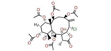 Gemmacolide V